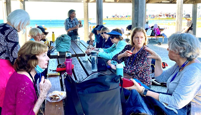 A magic bayside view for morning tea.